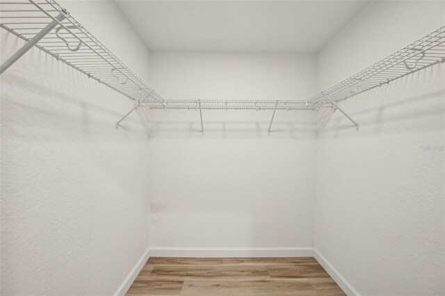 2575 SE 75th Blvd, Bushnell, FL 33513 - walk in closet featuring light wood-style floors