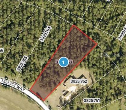 17046 Medici Way, Bella Collina, FL 34756 - photo 1