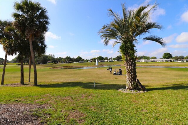 9948 SE 175th Pl, Summerfield, FL 34491 - surrounding community with a water view and a lawn