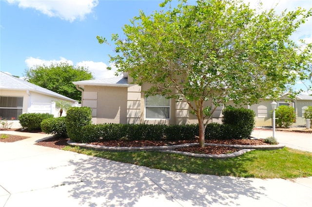 view of property hidden behind natural elements featuring concrete driveway and stucco siding