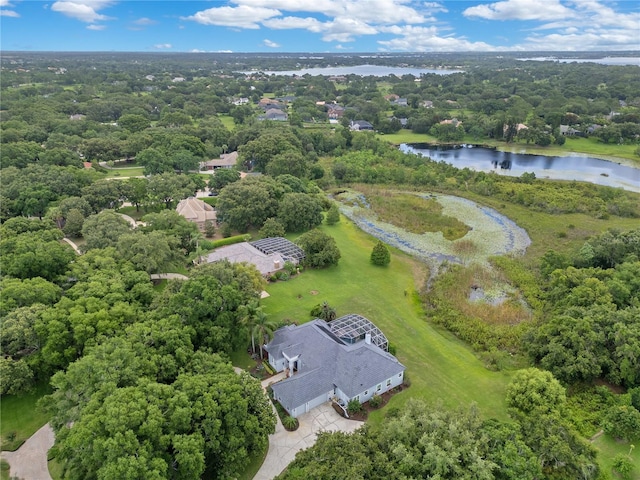 13112 Luntz Point Ln, Windermere, FL 34786 - drone / aerial view of a large body of water