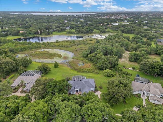13112 Luntz Point Ln, Windermere, FL 34786 - aerial view of property's location featuring a nearby body of water
