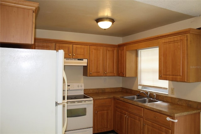 5177 Edwina St, Orlando, FL 32811 - kitchen with under cabinet range hood, a sink, brown cabinetry, and white appliances
