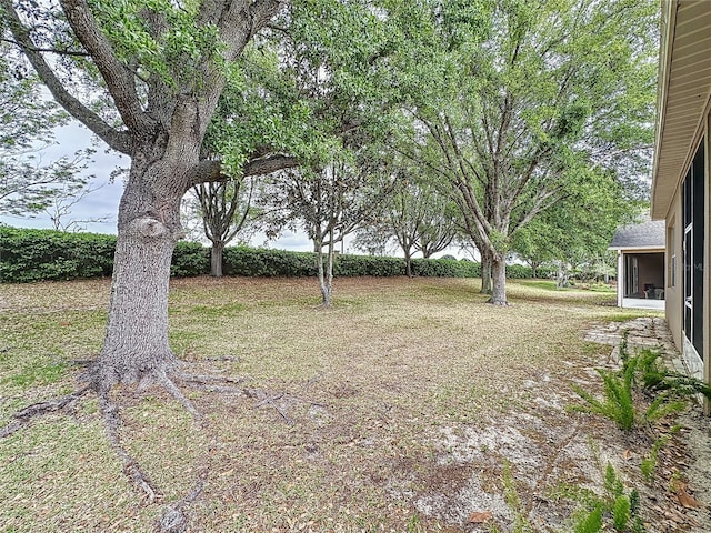 view of yard with a sunroom