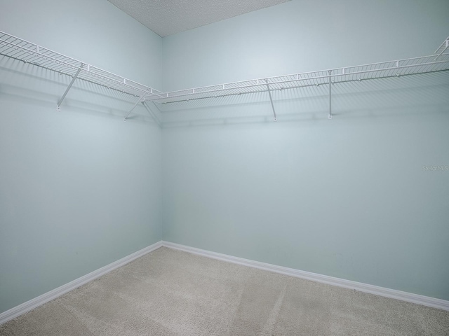 spacious closet featuring light colored carpet