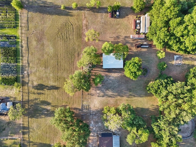 23519 State Road 44, Eustis, FL 32736 - photo 63