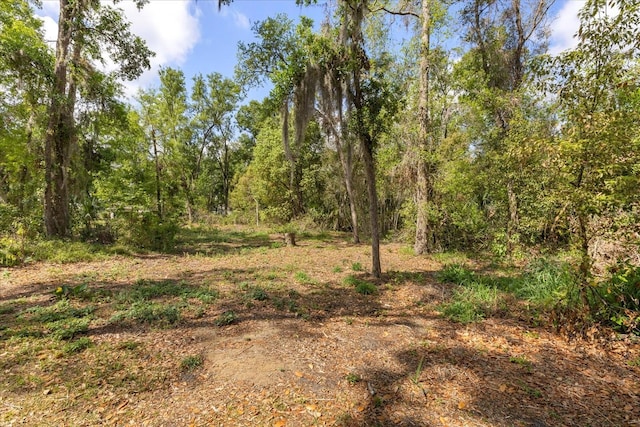 view of nature with a forest view