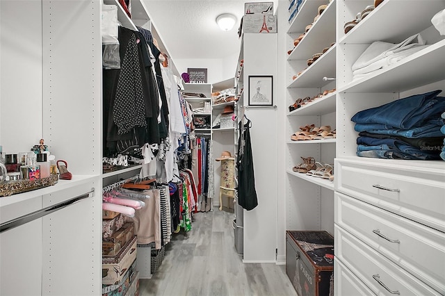 3354 Truluck Pl, Oxford, FL 34484 - walk in closet with light wood-style flooring