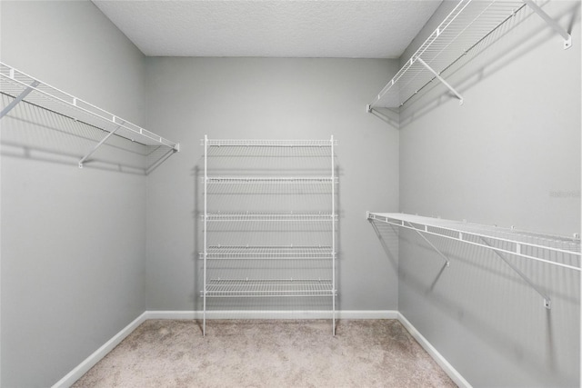 411 S 5th Ave S, Jacksonville Beach, FL 32250 - walk in closet with carpet flooring
