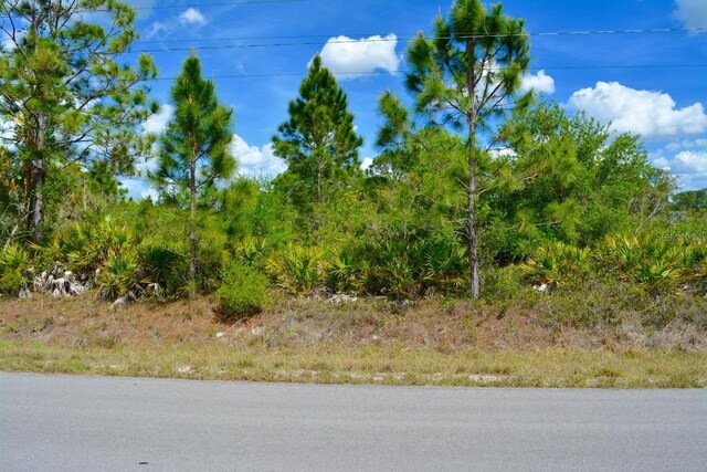 1510 Pine Ave, Lehigh Acres, FL 33972 - photo 10