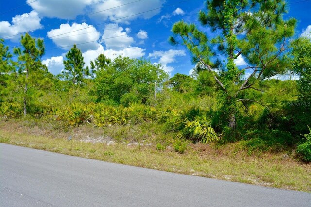 1510 Pine Ave, Lehigh Acres, FL 33972 - photo 11