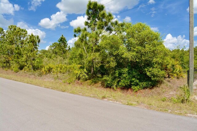 1510 Pine Ave, Lehigh Acres, FL 33972 - photo 12
