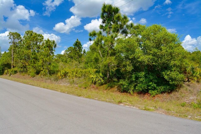 1510 Pine Ave, Lehigh Acres, FL 33972 - photo 13
