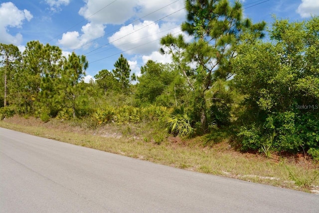 1510 Pine Ave, Lehigh Acres, FL 33972 - photo 18