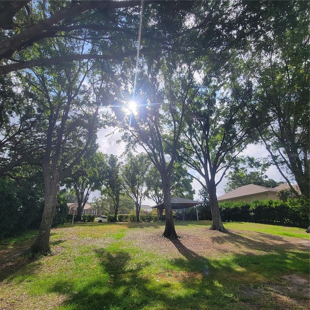 11024 Windchime Cir, Clermont, FL 34711 - view of yard