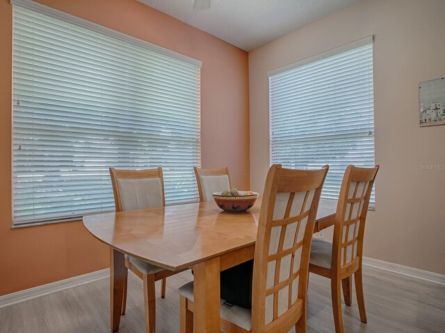 910 Eagles Lndg, Leesburg, FL 34748 - dining area featuring baseboards and wood finished floors