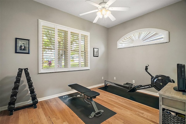 exercise room with wood finished floors, baseboards, and a ceiling fan
