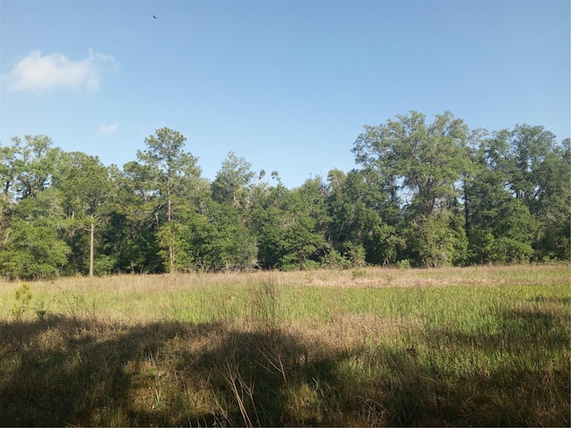 Mecca Rock Rd, Webster, FL 33597