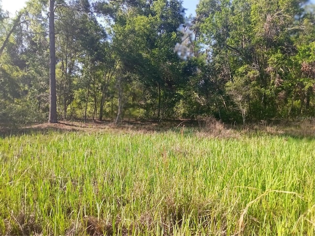 Mecca Rock Rd, Webster, FL 33597