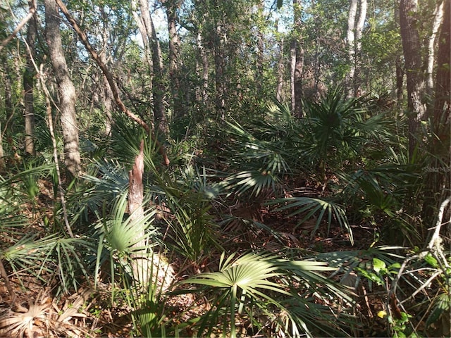 Mecca Rock Rd, Webster, FL 33597