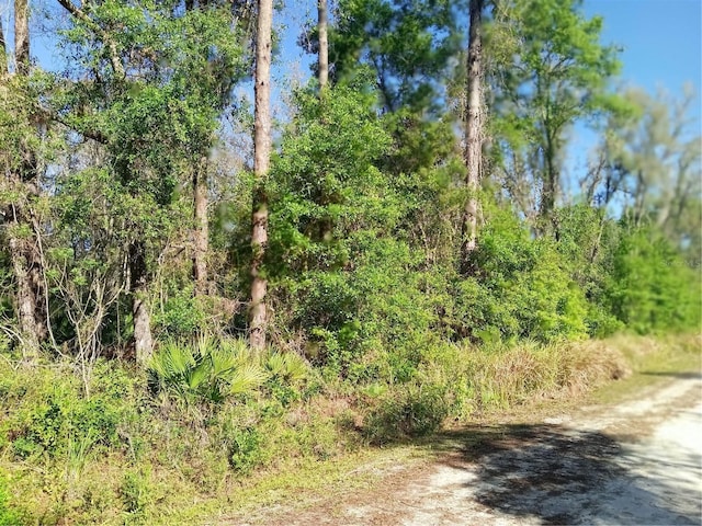 Mecca Rock Rd, Webster, FL 33597