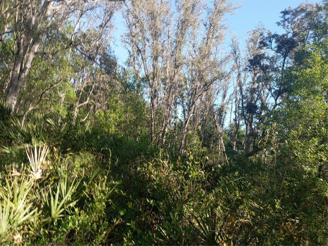 Mecca Rock Rd, Webster, FL 33597