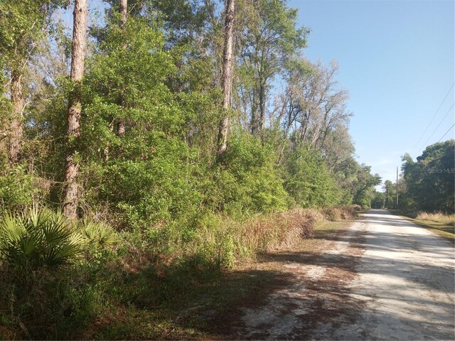 Mecca Rock Rd, Webster, FL 33597