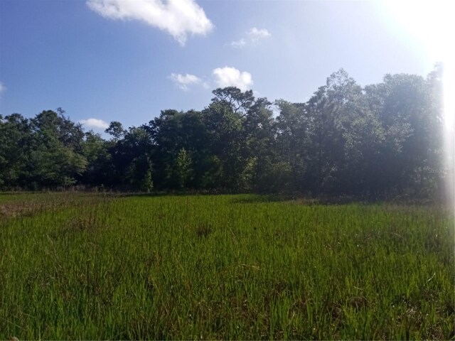 Mecca Rock Rd, Webster, FL 33597