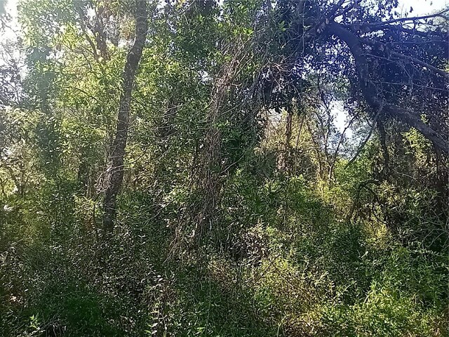 Mecca Rock Rd, Webster, FL 33597