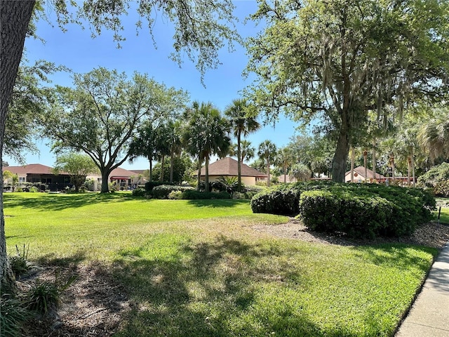 728 Ramirez Ave, The Villages, FL 32159 - view of grassy yard