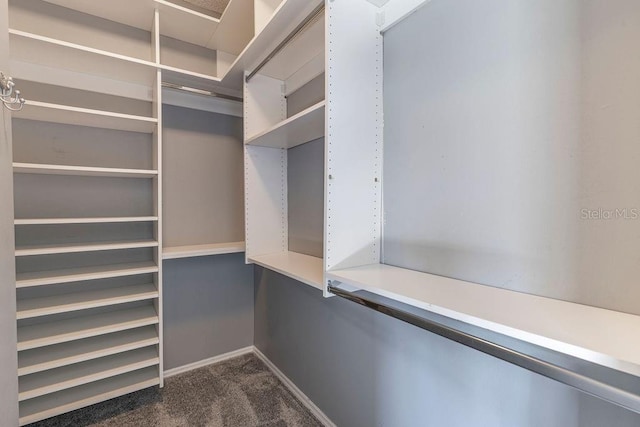 1667 Osprey Ave, The Villages, FL 32162 - spacious closet featuring dark colored carpet