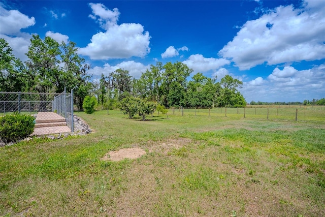 15141 Farm Rd, Groveland, FL 34736 - view of yard with fence