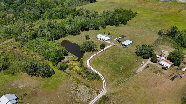 15141 Farm Rd, Groveland, FL 34736 - aerial view