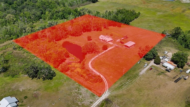 15141 Farm Rd, Groveland, FL 34736 - bird's eye view
