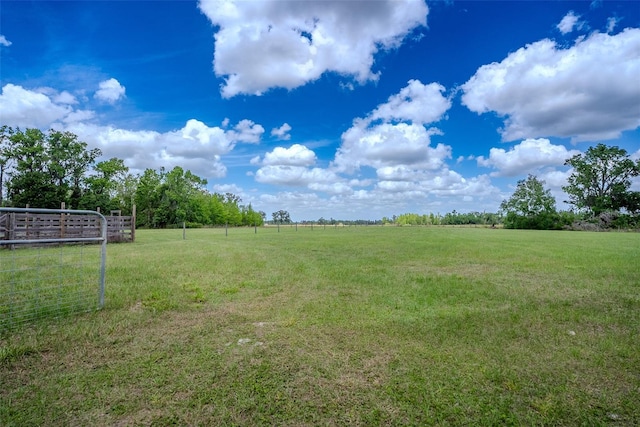 15141 Farm Rd, Groveland, FL 34736 - view of yard with a rural view