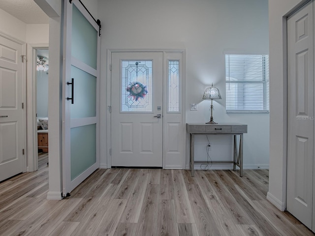 1010 Ventura Dr, The Villages, FL 32159 - entryway with light wood-style flooring, a wealth of natural light, and a barn door