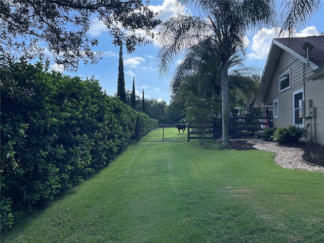 3511 Fox Lake Dr, Apopka, FL 32712 - view of yard with a gate