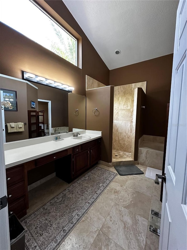3511 Fox Lake Dr, Apopka, FL 32712 - full bath with walk in shower, vanity, a bath, lofted ceiling, and a textured ceiling