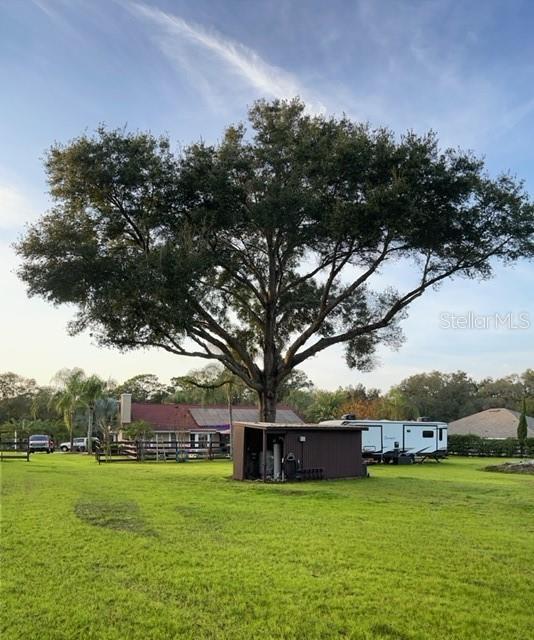 3511 Fox Lake Dr, Apopka, FL 32712 - view of grassy yard