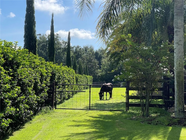 3511 Fox Lake Dr, Apopka, FL 32712 - view of yard featuring a gate