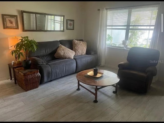 living room featuring wood finished floors