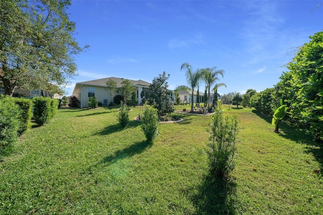 view of yard