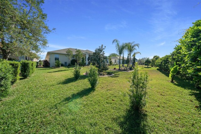 11860 SE 179th St, Summerfield, FL 34491 - view of green lawn