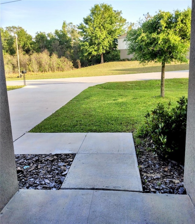 27 Perch Dr, Kissimmee, FL 34759 - view of grassy yard