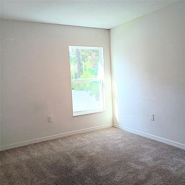 27 Perch Dr, Kissimmee, FL 34759 - unfurnished room with carpet flooring and baseboards