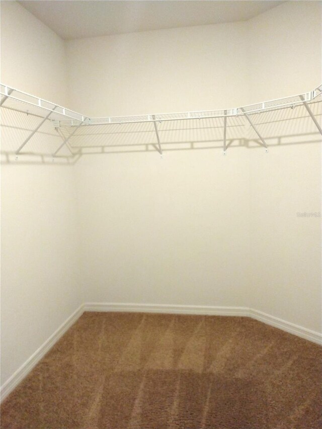 27 Perch Dr, Kissimmee, FL 34759 - walk in closet with carpet