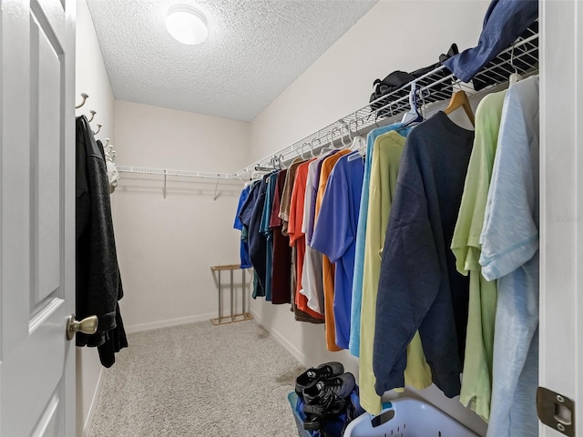 1307 Galindo Pl, The Villages, FL 32159 - walk in closet featuring carpet floors