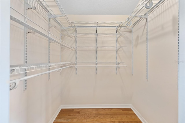 278 Matisse Ave, The Villages, FL 32162 - walk in closet featuring light wood-style flooring