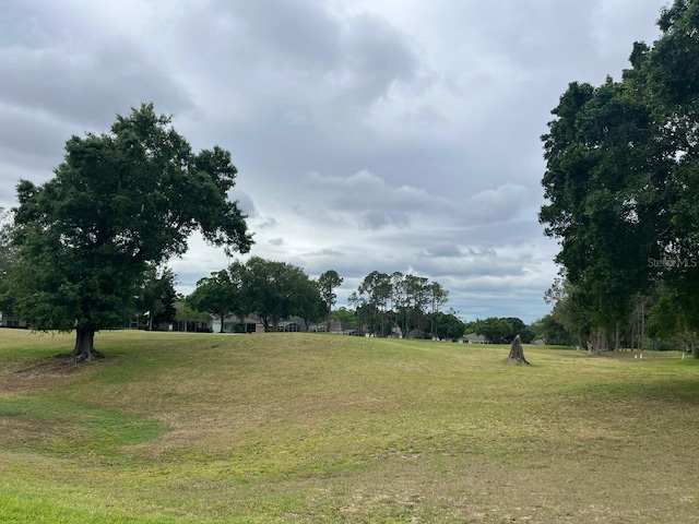 view of nature