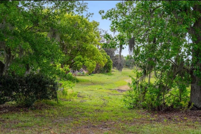 view of nature